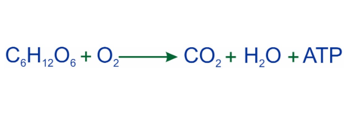 adenosina trifosfato games banner