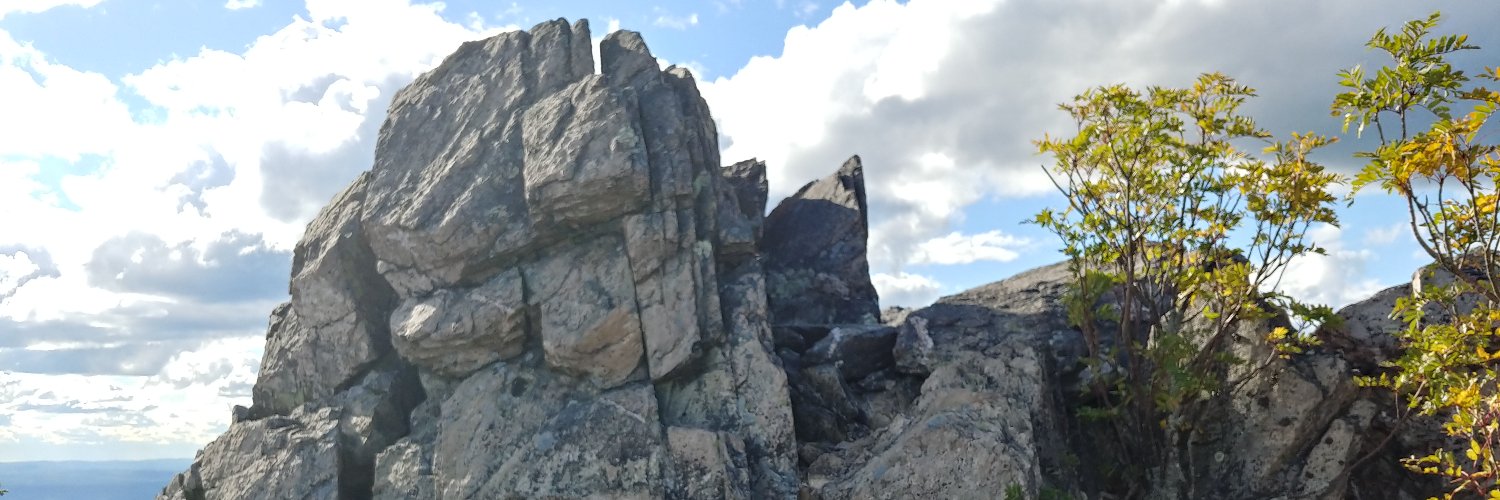 SarahAckermann's profile banner image