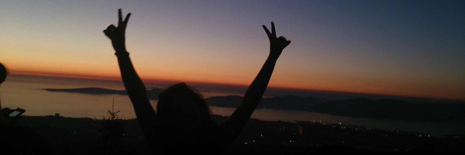 Laura_junco's profile banner image