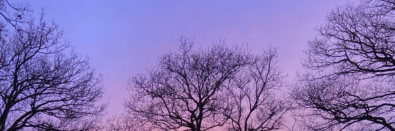 098woods's profile banner image