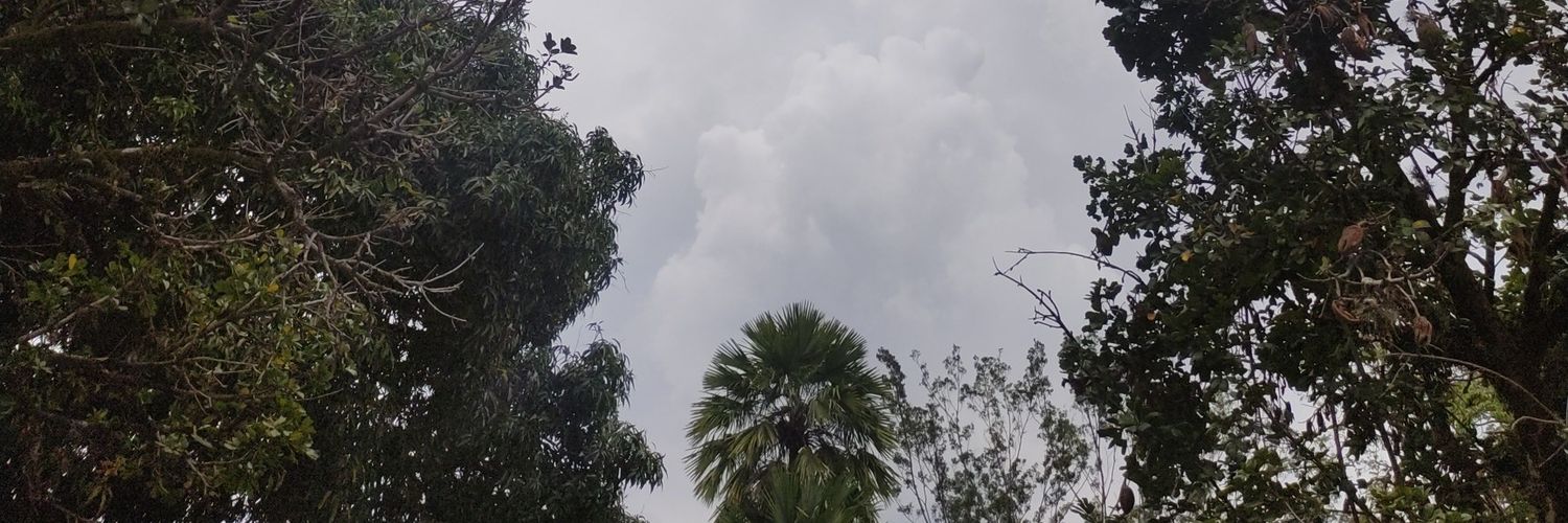 DuqueDarwindd's profile banner image