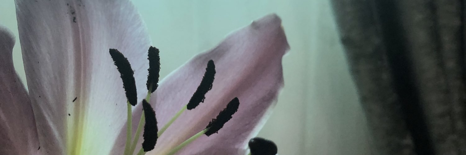 Bary_1998's profile banner image