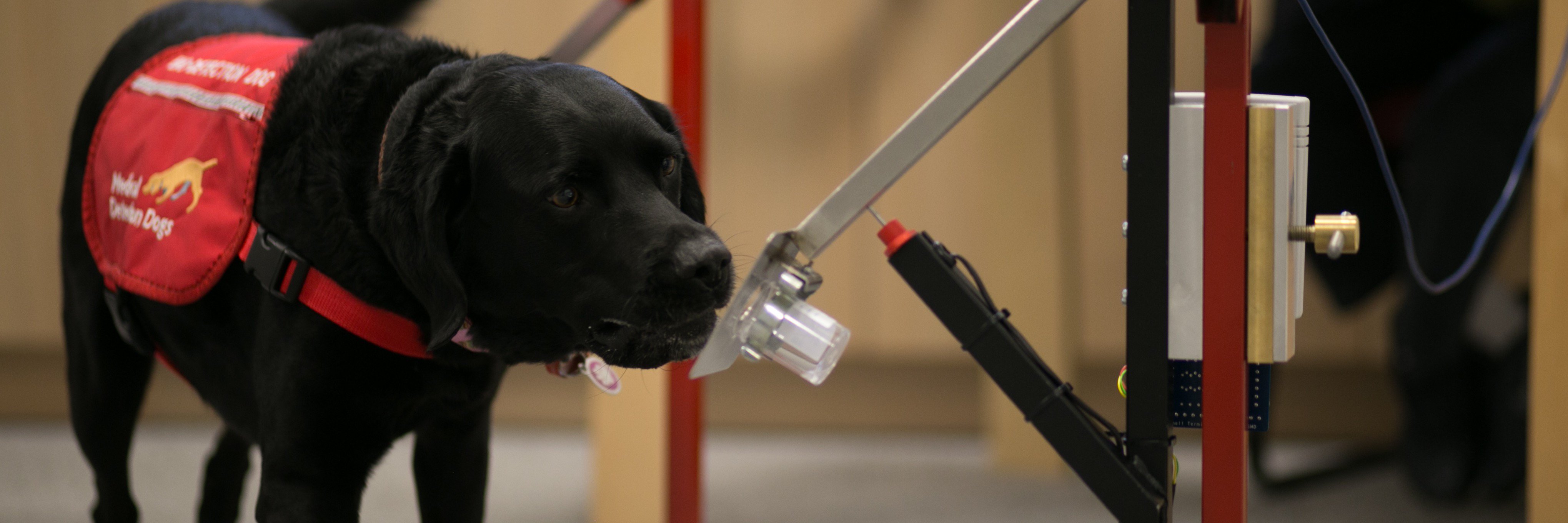 Clara Mancini banner