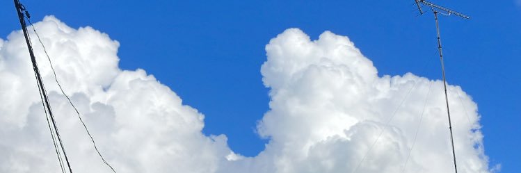 MiyaconCombu's profile banner image
