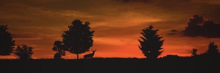 kyleskinner8's profile banner image
