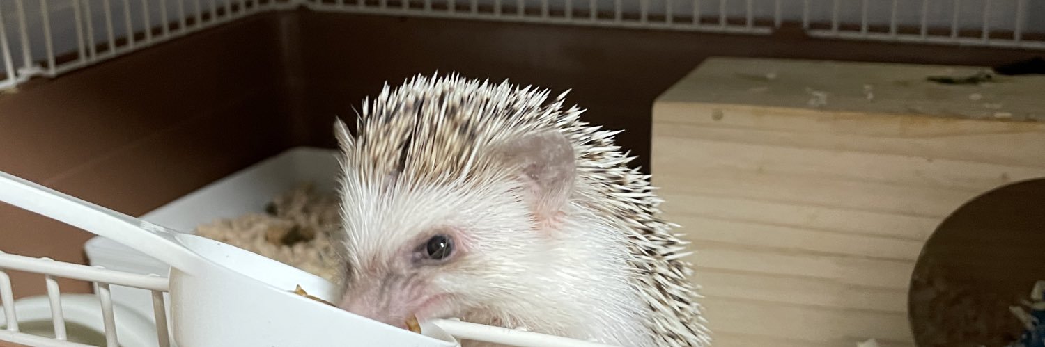 mugityasin's profile banner image