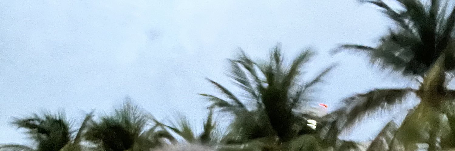 GuyLevyYurista's profile banner image