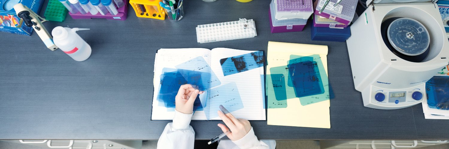 YorkU - Science banner