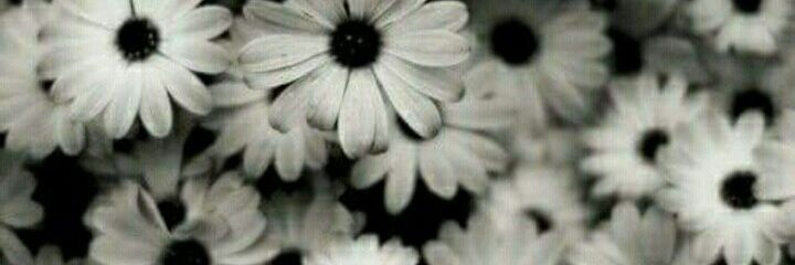 _erickabarreto's profile banner image