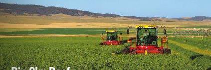 Grown in Montana banner