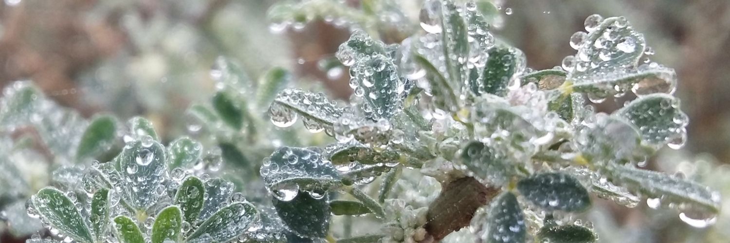 SauraNicolas1's profile banner image