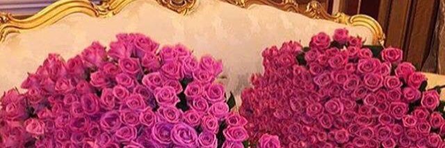 inessben7's profile banner image