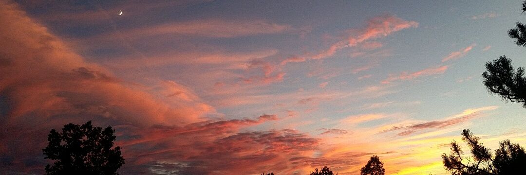 Aahz's other apprentice banner