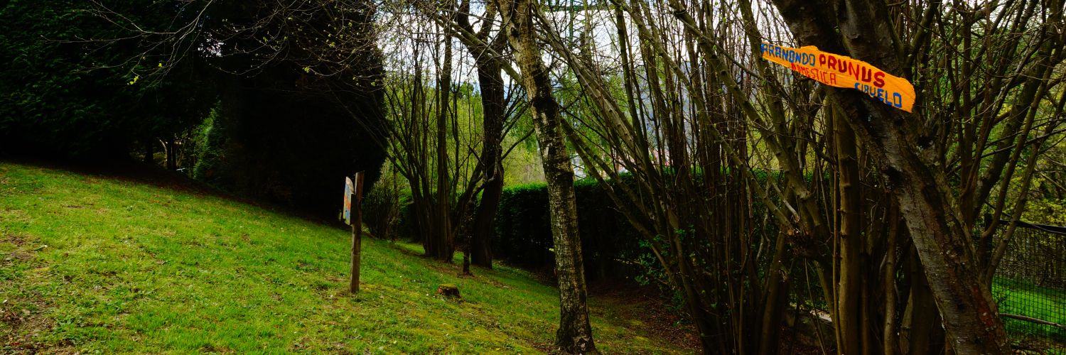 yerayqmg's profile banner image