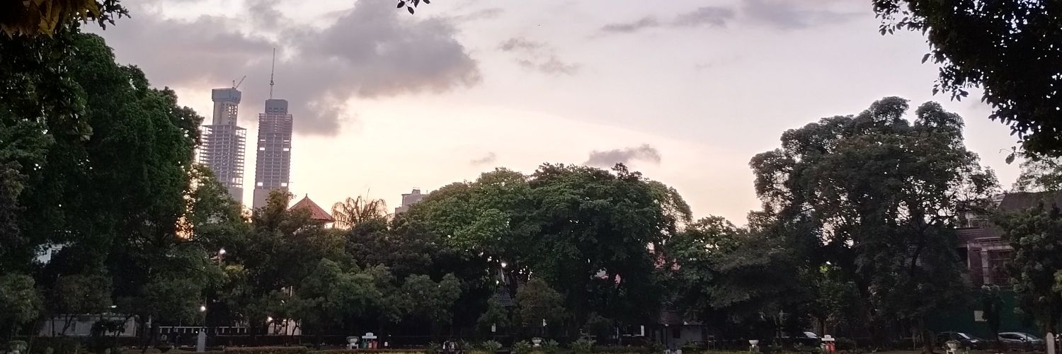 alvingozy's profile banner image