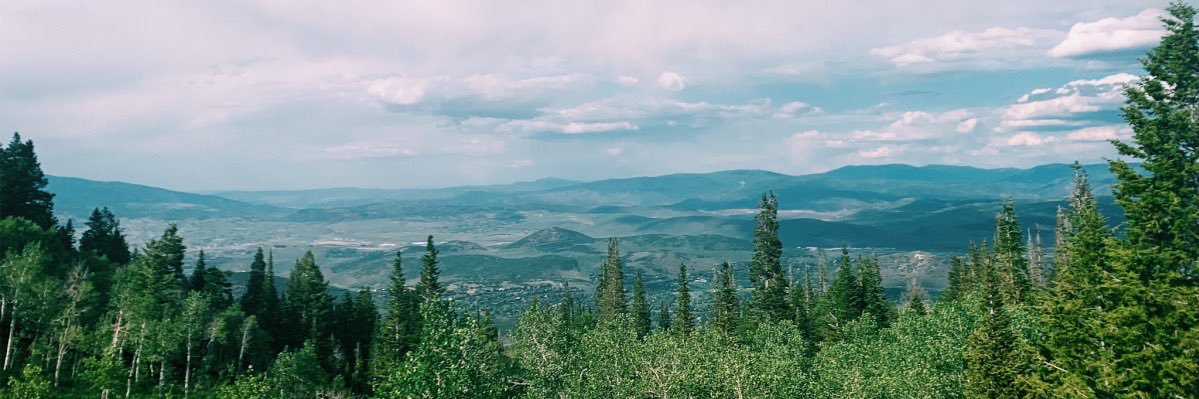 hannaharrison_'s profile banner image