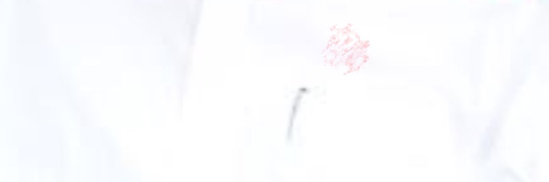 BakheetAzahrani's profile banner image