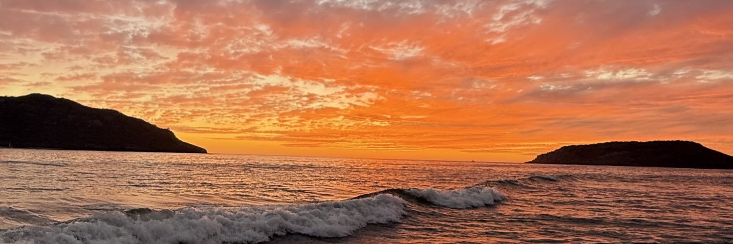 Seleneh_R's profile banner image