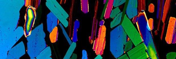 Mötley Drüe banner