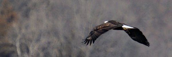 demandjusticexo Profile Banner