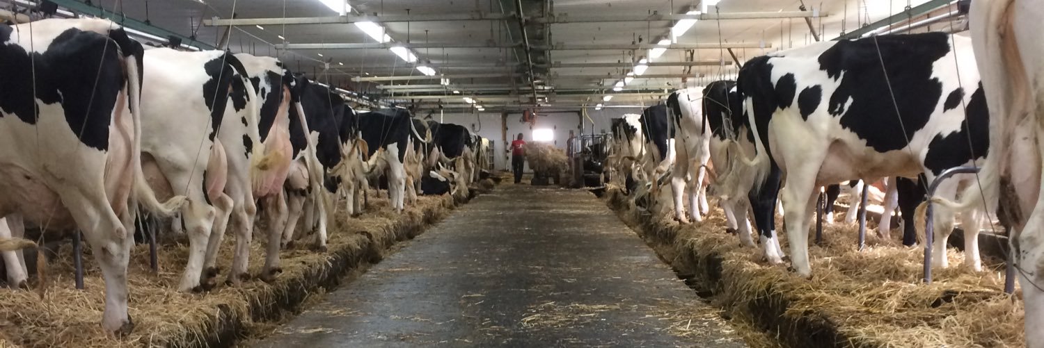 André St-Pierre banner