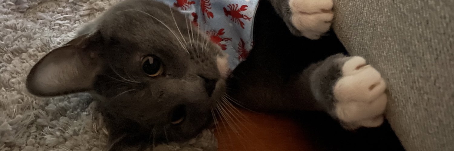 minechrissy's profile banner image