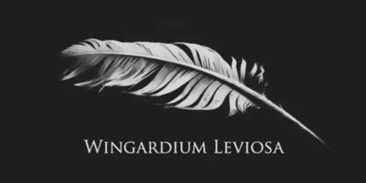 kelidayna's profile banner image
