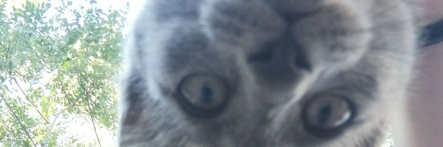 Sofierr61's profile banner image
