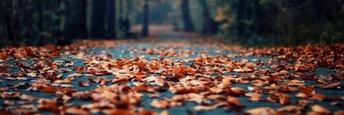 hernan_andres's profile banner image