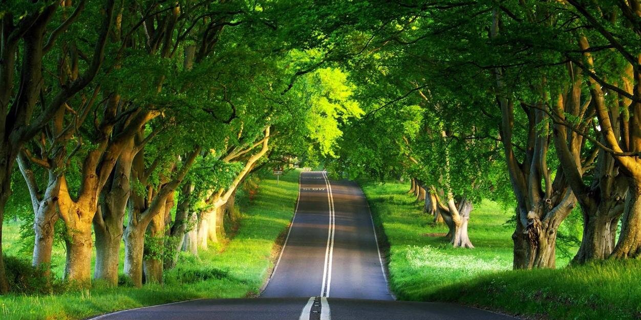 ridho_nandaa's profile banner image