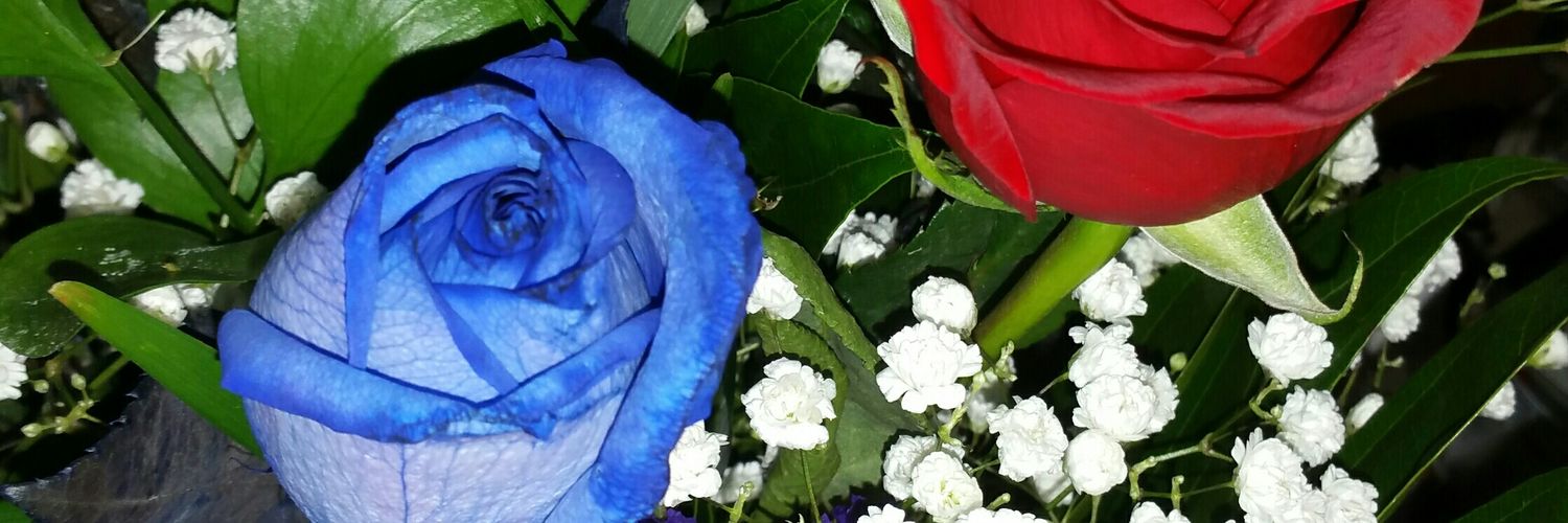 clearskies86's profile banner image