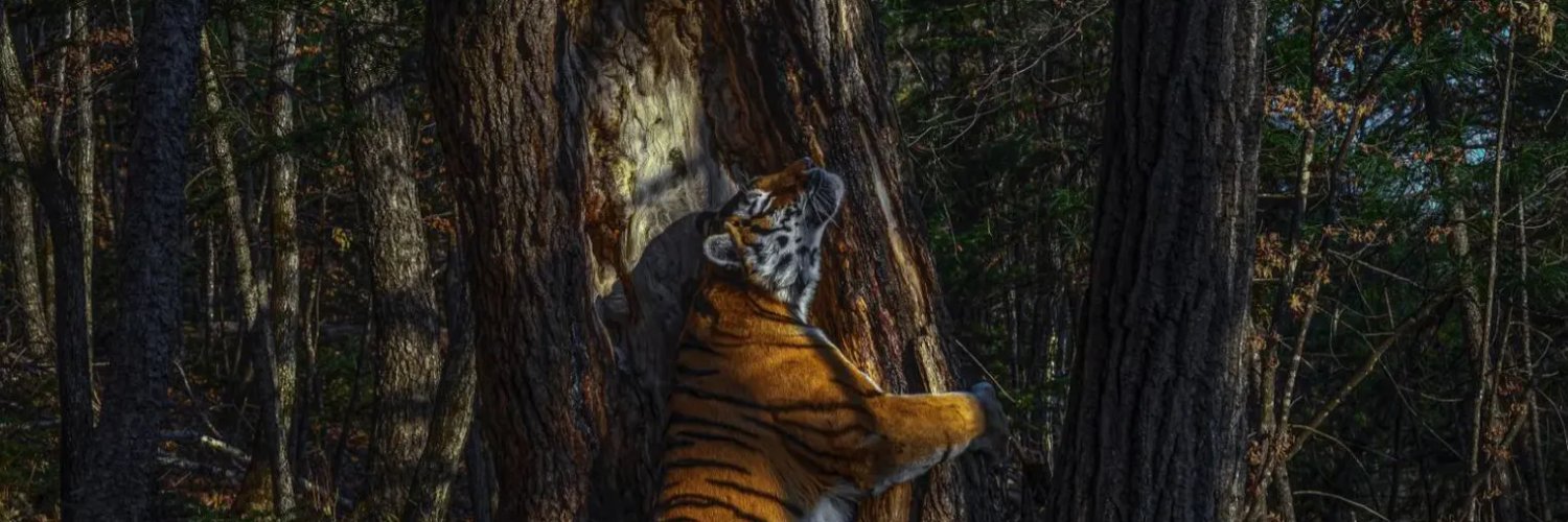 Josephi13486705's profile banner image