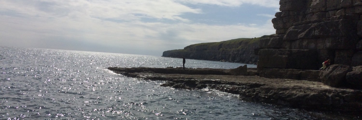 Stephanie Wheeler 🌻 banner