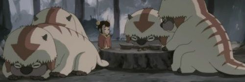 suchygrzyb's profile banner image