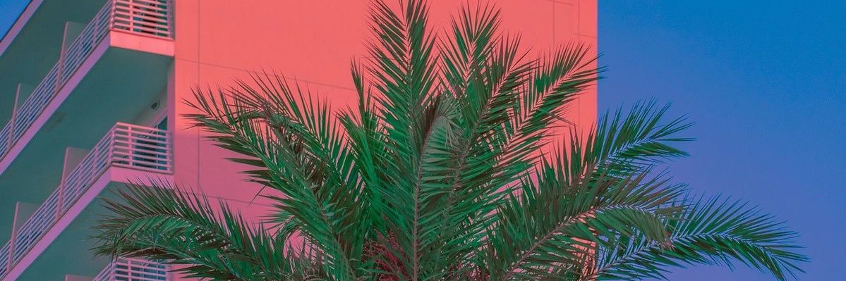 eviiie__rose's profile banner image