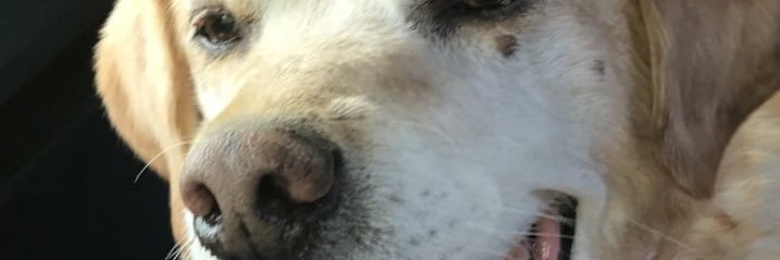JL6472's profile banner image