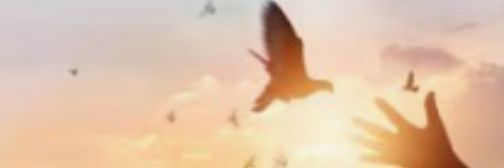 angellinamar's profile banner image