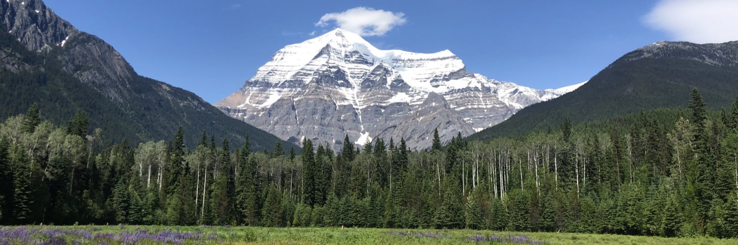 Mei Lin Bissonnette MD PhD FRCPC banner