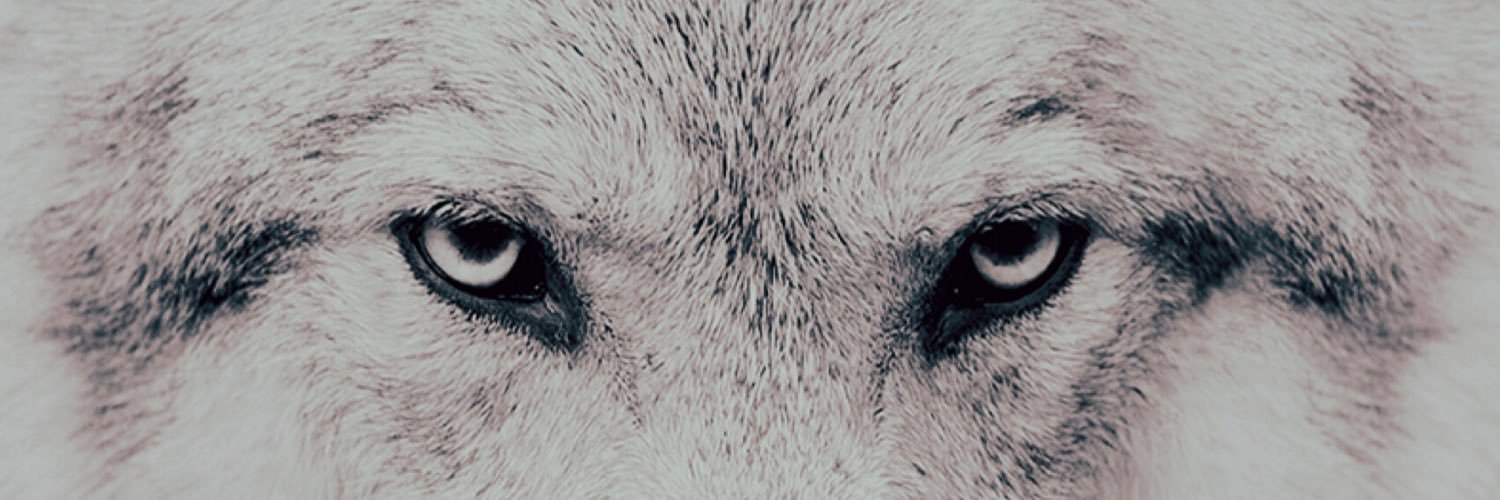 mitzi991's profile banner image