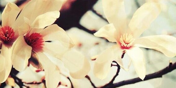 ellenroberts21's profile banner image