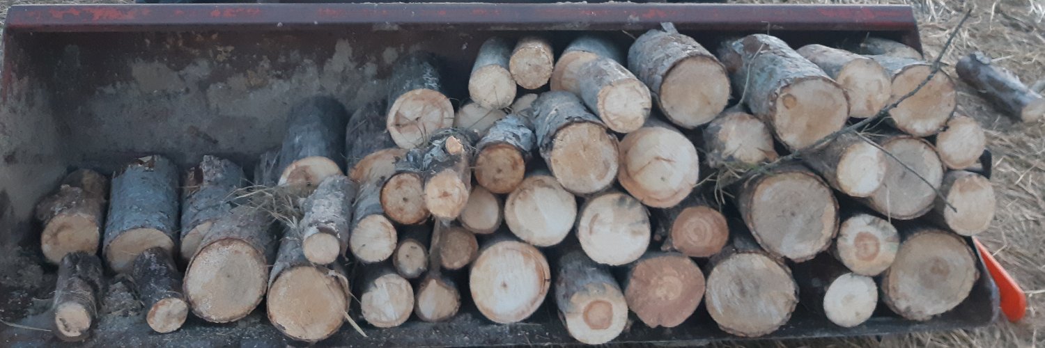 BAGHERI GATELEY banner