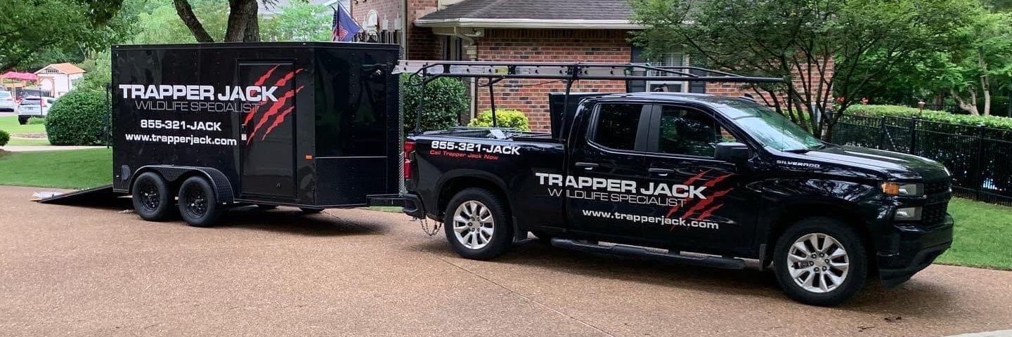 Trapper_Jack's profile banner image