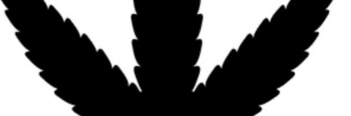 dwizz071's profile banner image