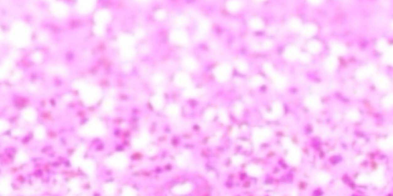 FalsoneEmily's profile banner image