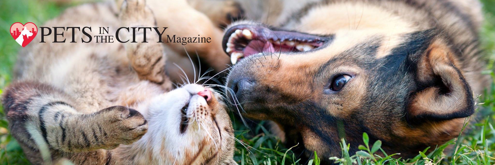 Pets in the City Mag banner