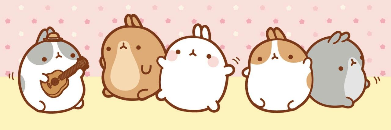 myrabbitpp's profile banner image