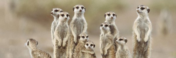 franboyant Profile Banner