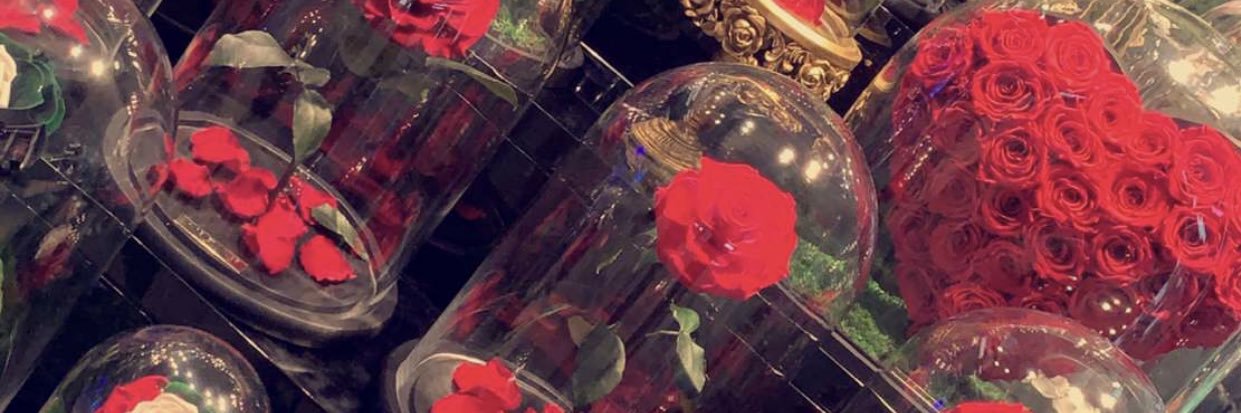Dk. 🌹 banner