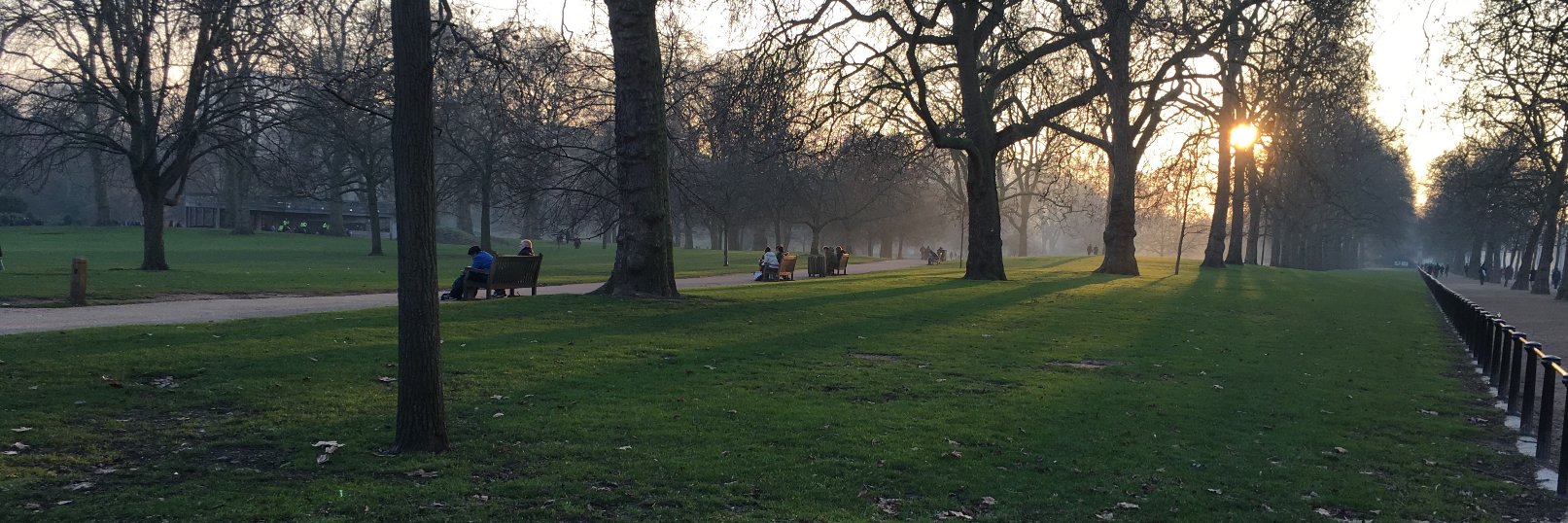 Patricio R Estevez-Soto banner