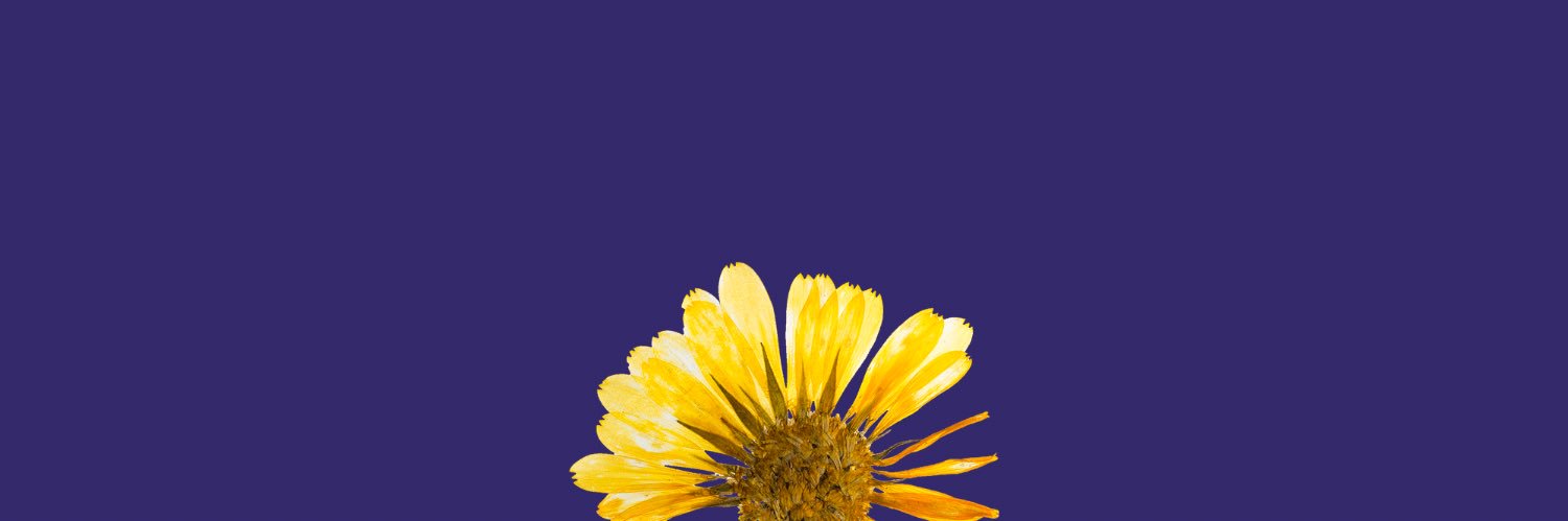رحيــــق banner